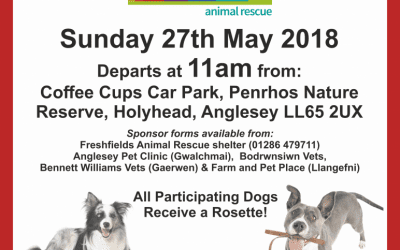 Sponsored Walk for Special Pooches!